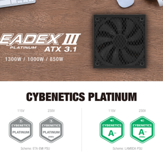 ifor_EDM_LEADEX III PL_260811_01_100